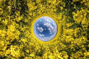 inversion of Little planet transformation of spherical panorama 360 degrees. Spherical abstract aerial view in rapeseed field with awesome beautiful clouds. Curvature of space.