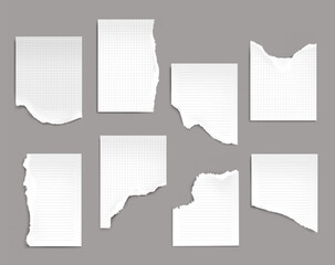 Poster - notebook sheets with torn edges. ragged lined and checkered blank pages for memo and daily planner e