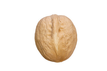 Poster - walnut in shell isolated on white background