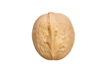 Poster - walnut in shell isolated on white background
