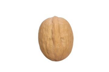 Poster - walnut in shell isolated on white background