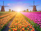 Fototapeta Tulipany - Magic spring landscape with tulips and aircraft Mill in Kinderdijk, Netherlands, Europe at dawn (harmony, relaxation, anti-stress, meditation - concept).