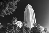 Fototapeta Miasta - Los Angeles City Hall in black and white on bright sunny day