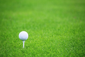 Golf ball on green grass background