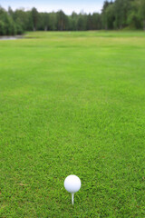 Canvas Print - Golf ball on green grass background