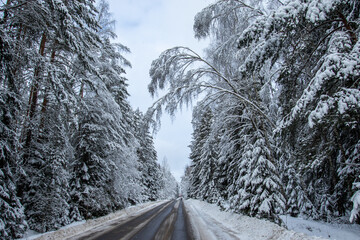 Cold Winter Road In The Forest In Belarus. Trip By Car.