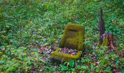 Car seat covered with moss in the forest