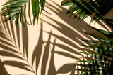 Fototapeta Kwiaty - Abstract background of fresh palm leaves and shadows on the beige wall