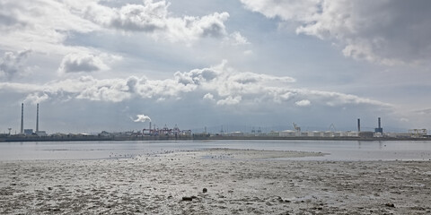 Misty view from across the water on Poolberg peninsula, with the chimneys of the power generation station, 