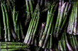 © Mint Images - High angle close up of freshly picked bunches of green asparagus.