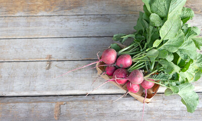 Fresh garden radish. Top view with copy space