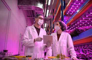 Wall Mural - Workers with face mask using tablet on aquaponic farm, sustainable business and coronavirus.