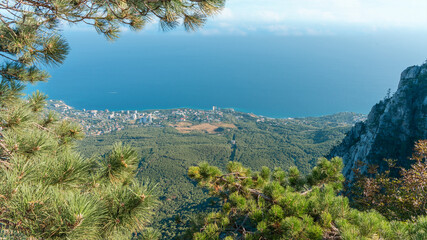 Wall Mural - top view through the crowns of mountain pines on the resort town against the background of the blue sea and sky