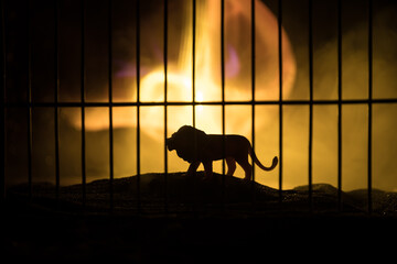 Wall Mural - Silhouette of a lion miniature standing in a zoo cage dreams of freedom. Creative decoration with colorful backlight with fog.