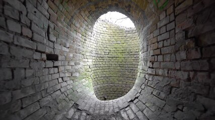 Wall Mural - old abandoned oval brick tunnel of the 19th century in the day. dollying-out back-view.