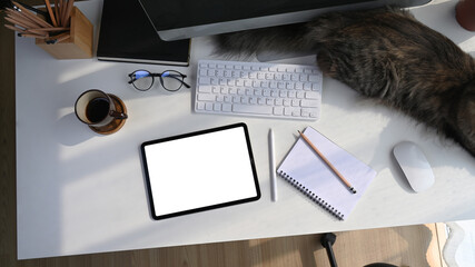 Above view of modern workplace with digital tablet, computer, notebook, coffee cup and cat lying on white desk.