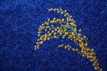 Dry Yellow Flowers On A Blue Textured Background. Still Life From Natural Flowers.