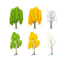 Cartoon Tree At Different Times Of Year. Birch And Willow Seasonal Tree For Game Scenes. Green Planting Trees For Garden Forest Park. Three Seasons Summer, Autumn, Winter Cartoon Isolated