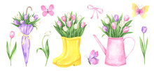 Spring Elements Watercolor Set