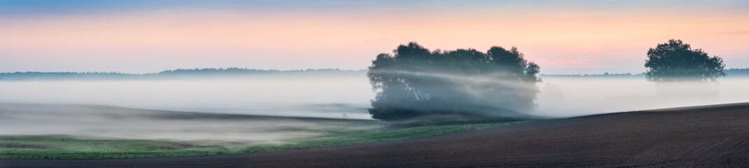 Wall Mural - panorama of foggy fields at sunrise