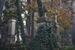 graves among trees in the old Evangelical cemetery in Płock in autumn 