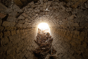 Wall Mural - exit of old abandoned oval brick drainage tunnel of the 19th century littered with garbage in the da