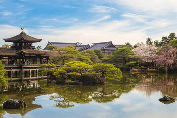 Wall Mural - Japanese garden in Heian Shrine, kyoto, japan with cherry blossom