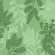 collection d'illustrations vectorielles de plantes avec feuilles et fleurs dans un style graphique au trait isolé sur fond vert