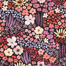  Meadow With Flowers, Floral Seamless Pattern Of Colorful Wildflowers, Watercolor Illustration In Rustic Style On Dark Background.