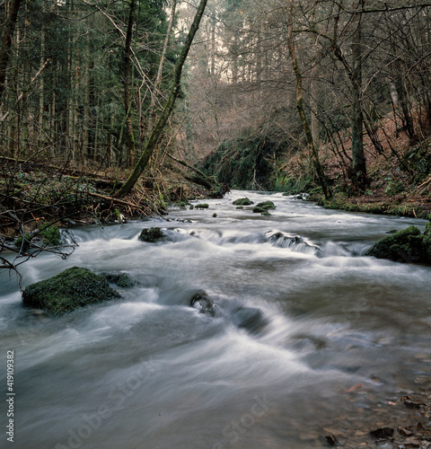 Flowing brook in the forest of the Begian Ardennes. Belgium. © A