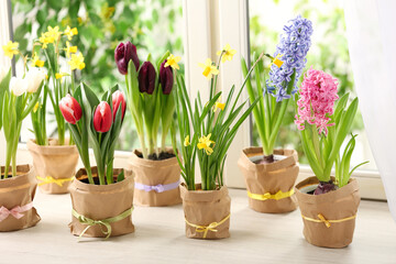 Beautiful spring flowers in wrapped pots on white wooden window sill