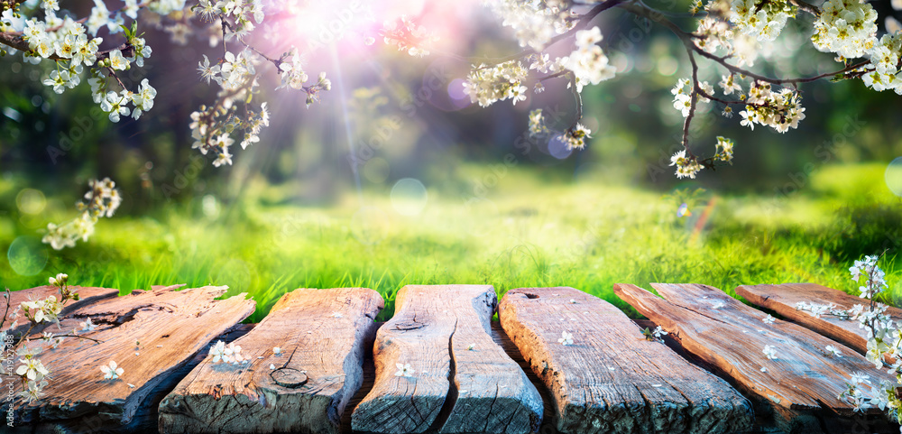 Spring Table With Trees In Blooming And Defocused Sunny Garden In Background - obrazy, fototapety, plakaty 