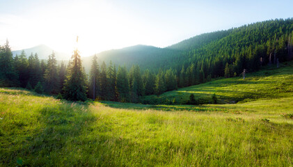 Wall Mural - Mountain forest landscape at sunset