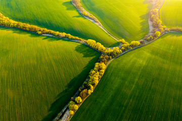 Poster - Abstraction agricultural area and green wavy fields in sunny day. Aerial photography, top view drone shot.