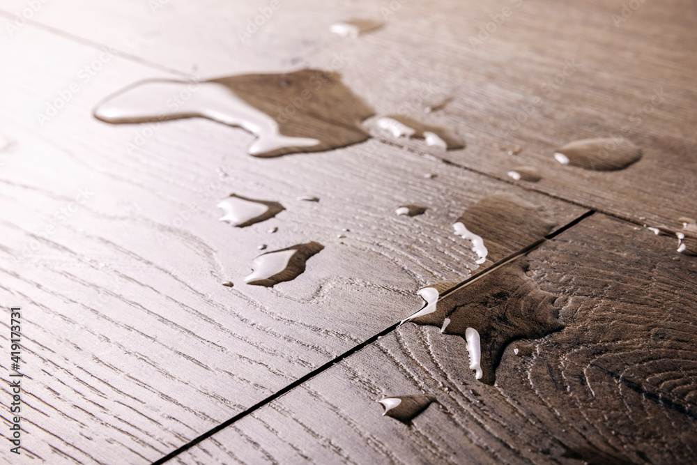 waterproof flooring - spilled water drops on wooden laminate floor - obrazy, fototapety, plakaty 