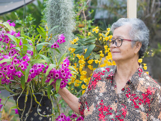 Portrait of a beautiful senior woman with short gray hair, wearing glasses, smiling, and looking at orchids while standing in a garden. Space for text. Concept of aged people and relaxation