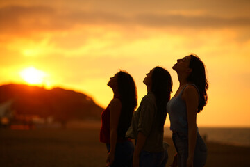 Wall Mural - Three friends breathing fresh air at sunset