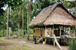 House in an amazonian village in the Cuyabeno Natural Reserve, Amazon Rainforest, Ecuador
