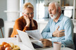 © Goran - Worried senior couple feeling stressed while have to pay their bills over Internet