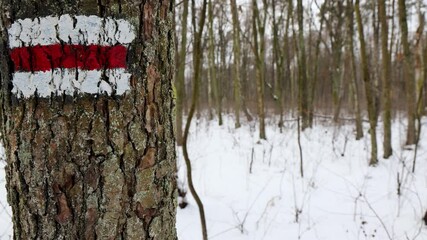 Sticker - Tourist trail in Kampinos Forest in Poland