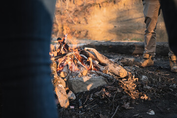 Fireplace in nature with wood and embers ready for grilling