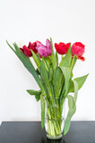 Fototapeta Tulipany - Bouquet of tulips in glass vase on black table. Beautiful spring flowers. White wall. Home decor.