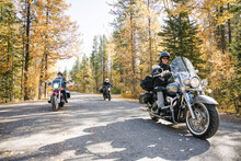Motorcyclists Riding Through Forest