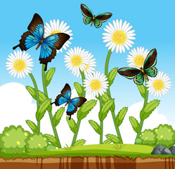Wall Mural - Many butterflies with many flowers in the garden scene