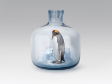 Penguin In Jar With Melting Ice