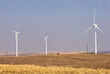 Windfarm Turbines Palouse. Wind turbines on an agricultural field in the Palouse area of eastern Washington.

