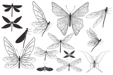 Poster - Collection of vector dragonflies and butterflies for design
