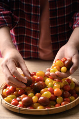 Colorful cherry tomatoes holding by woman hand, Organic vegetables