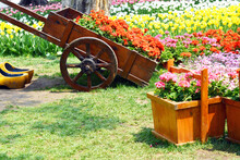 Gardening  With Cart