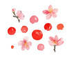 Cute set with Japanese theme in watercolor style. Watercolor sakura. Japanese elements.